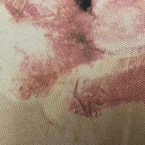 Meet your Posher, Carline